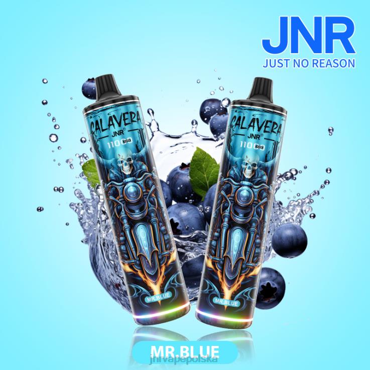HVBXB303 JNR Vape Flavours - jnr calavera pan niebieski