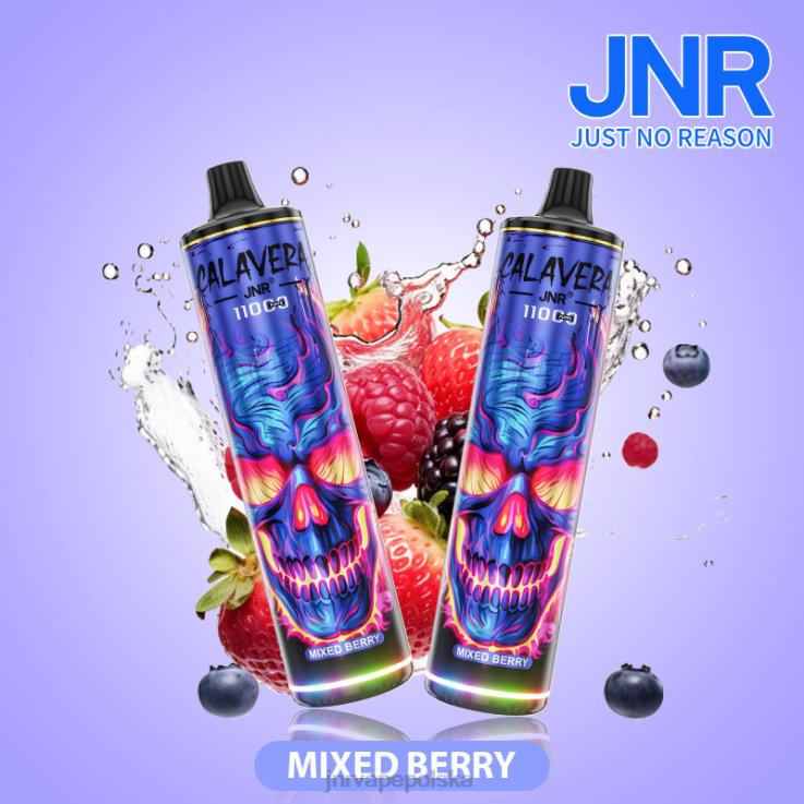 HVBXB310 JNR Vapes Website - jnr calavera zmiksowane jagody