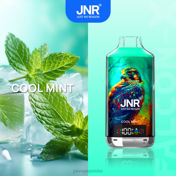 XTNZ3 JNR FALCON X orzeźwiająca mięta JNR Vape Warszawa