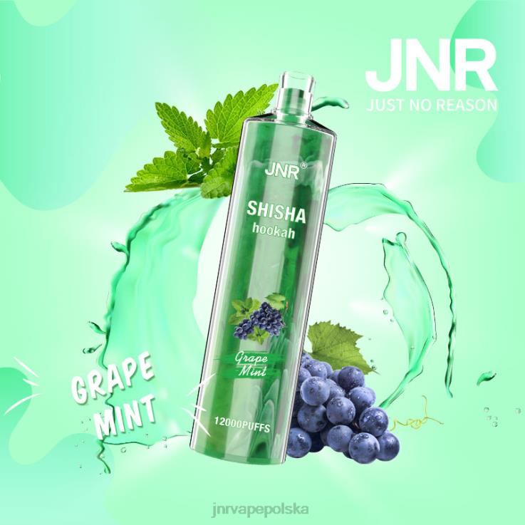 HVBXB171 JNR Vape Price - jnr szisza winogrono-mięta