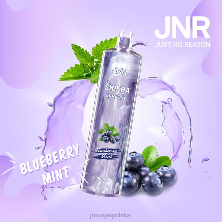 HVBXB172 JNR Vapes Factory - jnr szisza jagodowa mięta