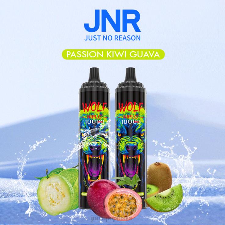 HVBXB352 JNR Vapes Factory - jnr wilk niplo pasja kiwi gujawa