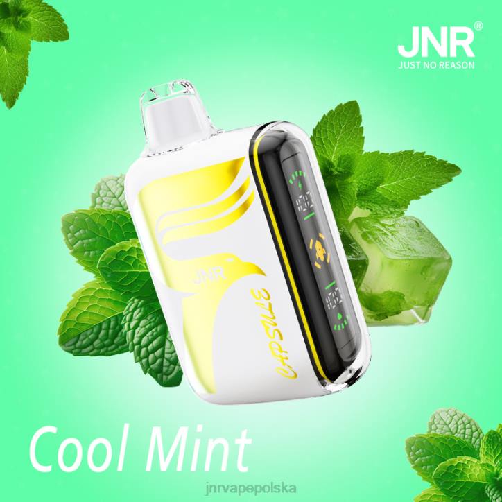 JNR kapsuła orzeźwiająca mięta 6H4B62 JNR Vape Warszawa