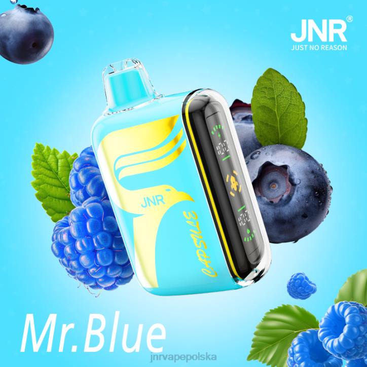 JNR kapsuła pan niebieski 6H4B64 JNR Vapes Factory