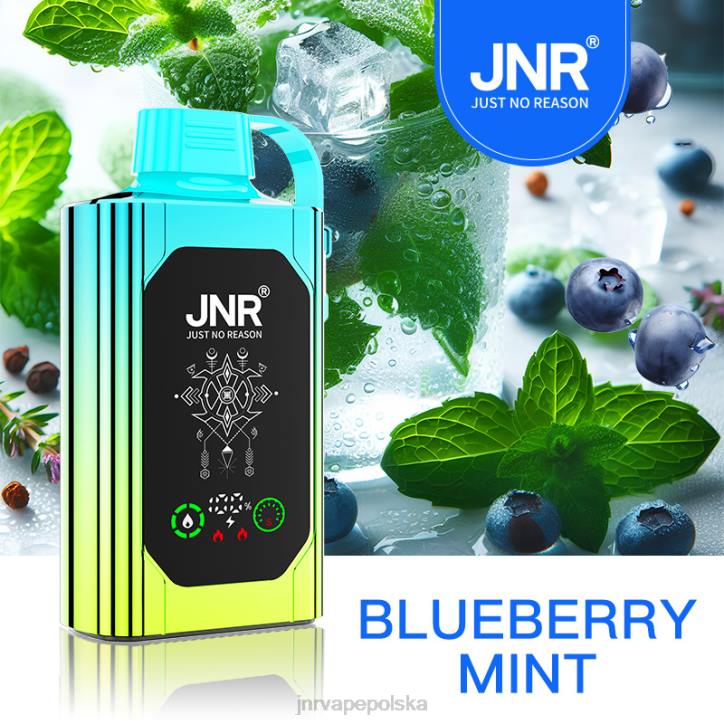 JNR SHISHA skrzynka jagodowa mięta 6H4B88 JNR Vape Pods
