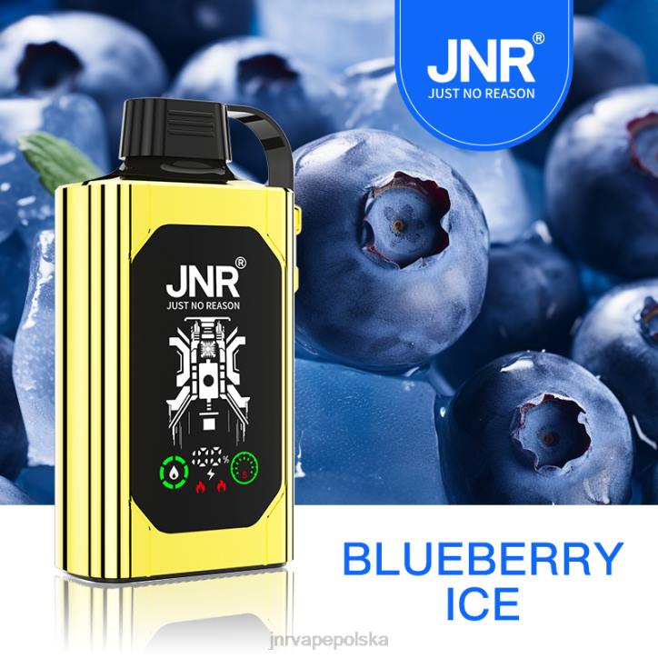 JNR SHISHA skrzynka lód jagodowy 6H4B75 JNR Vape Shop